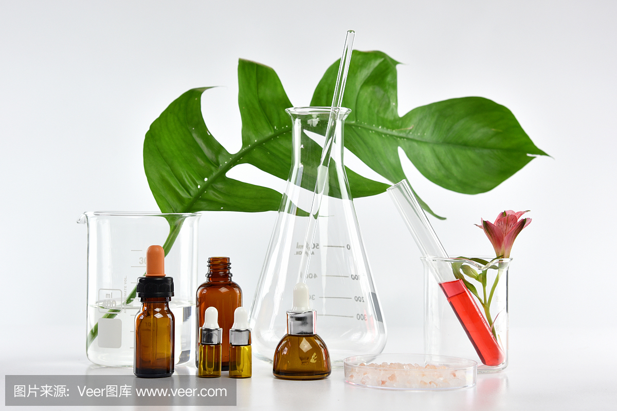 化妆品瓶容器与绿色草药叶和科学玻璃器皿,空白标签包装的品牌模型,研究和发展天然有机美容护肤产品的概念。
